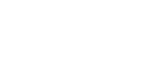 Fly High Digital Media logo webside